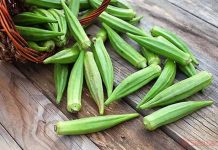 TIẾP SỨC NGƯỜI BỆNH Lợi ích của đậu bắp đối với sức khỏe