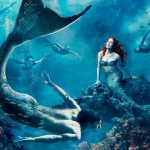 nhung-ly-do-khan-gia-kho-long-bo-lo-nguoi-ca-bao-thu