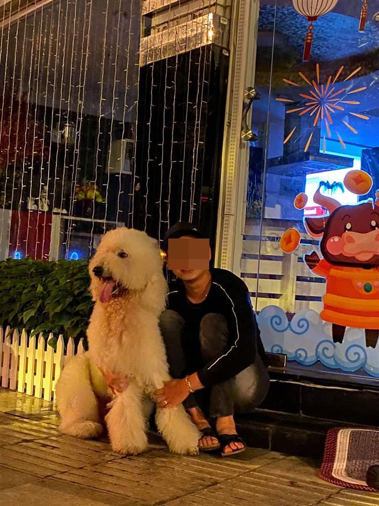 Lý Quý Khánh tìm ra chú chó Beau