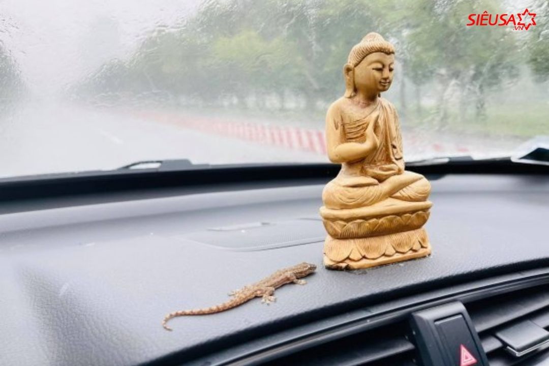 Chú tắc nghe làm Đại Nghĩa hoảng sợ
