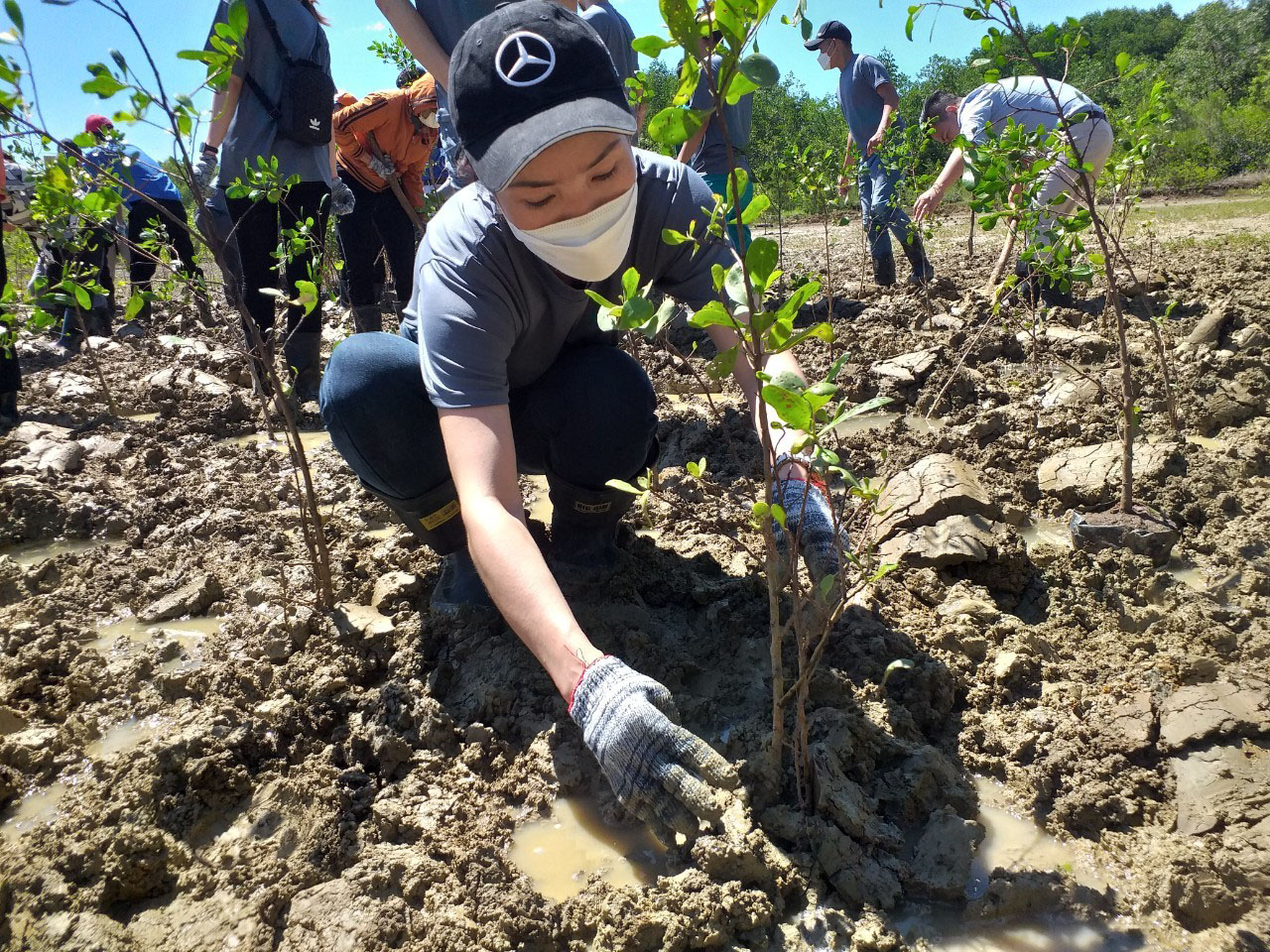 Một tình nguyện viên đang tỉ mỉ để trồng cây
