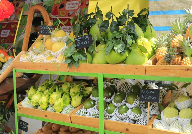 Nhiều loại trái cây mới được giới thiệu ở tuần lễ trái cây ‘Trên bến dưới thuyền’ năm nay - Ảnh: VGP/Huy Phạm